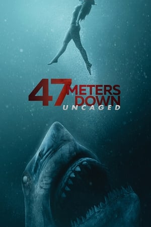 47 Meters Down: Uncaged (2019) Hindi Dual Audio [950MB] HD Poster Download - filmyfly
