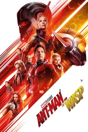 Ant-Man and the Wasp 2018 Movie (English) [300MB] HD Poster Download - filmyfly