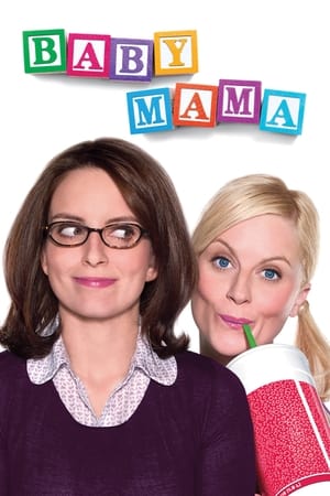 Baby Mama (2008) Hindi Dual Audio [900MB] HD Poster Download - filmyfly