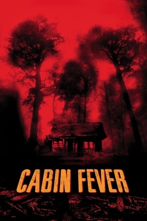 Cabin Fever (2002) Hindi Dual Audio 350MB HD Poster Download - filmyfly