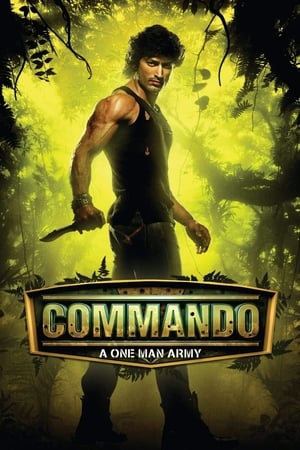 Commando (2013) Hindi [450MB] HD Poster Download - filmyfly