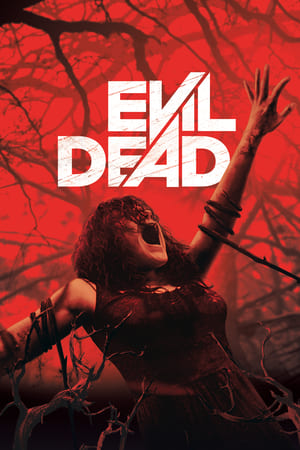 Evil Dead 2013 Hindi Dual Audio 300MB HD Poster Download - filmyfly