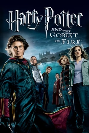 Fire & Ice (2008) Hindi Dual Audio 300MB HD Poster Download - filmyfly