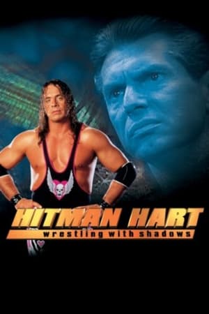 Hitman (1998) Hindi Dual Audio 300MB HD Poster Download - filmyfly