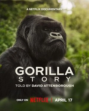 A Gorilla Story Told By David Attenborough 2026 English Audio HD Poster Download - filmyfly
