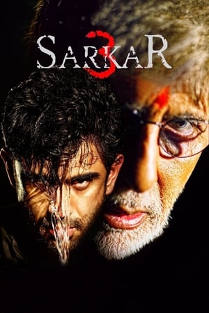 Sarkar 3 (2017) Full Movie (Hindi) [700MB] Download HD Poster Download - filmyfly