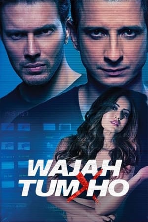 Wajah Tum Ho 2016 [PDVDRip] 700MB BEST HD Poster Download - filmyfly